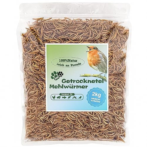 Getrocknete Mehlwürmer 13L (2kg) – Premium Insektensnack für Wildvögel, Igel, Fische & Reptilien – Hochwertiges Ganzjahresfutter mit hohem Proteingehalt für draußen – Blumixx Jan-Pet Premium
