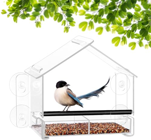 Urban Deco Vogelfutterstation mit starken Saugnäpfen – Acryl-Samen-Futterstation mit Ablauflöchern und abnehmbarem Tablett für den Garten – Futterstation für Fenster mit transparentem Fenster