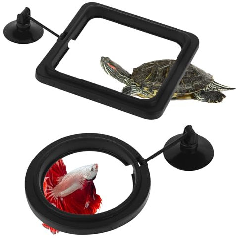 2 comederos automáticos, plantas flotantes para acuario, anillo de alimentación con ventosas, anillos flotantes para plantas, cambio de agua, dispensador de alimento para peces, anillo flotante para