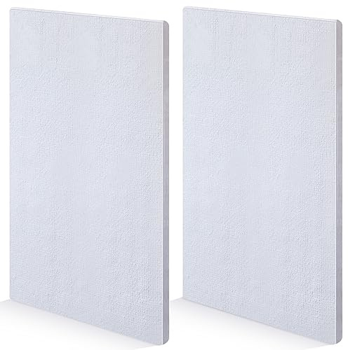 Sasylvia 2 Pcs Ceramic Fiber Insulation Board 12'' x 8'' x 0.4'' Fireproof Insulation Board, Flame Retardant, Heat Resistant, High Temperature Tool for Wood Stoves Fireplaces Pizza Ovens Kilns