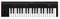 IK Multimedia iRig Keys 2 - Teclado MIDI Universal, Compacto con 37 Mini-Teclas y Salida de Audio para iPhone, iPad, Android, Mac/PC, Negro
