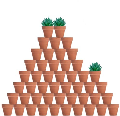 vensovo Kleine Terrakotta- und Terrakotta-Töpfe mit Drainage, kleiner Mini-Keramik-Pflanzgefäß, ideal für Innen- und Außenbereich, Basteln, Hochzeitsgeschenke, 48 Stück