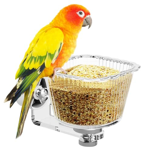 Transparente para Aves - Tazón de Alimentación Transparente,Plato para Alimento de Pájaros | para Jaula, Comida Y Agua para Cacatúa, Conuro, Periquito, Pinzón, Agapornis Y