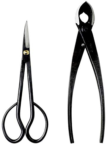 Wazakura Ensemble Outils Essentiels Japonais pour Bonsaï et Jardinage Fabriqués au Japon, Ciseaux Sécateur Satsuki 180 mm et Coupe Branche Concave 200 mm, Acier Carbone