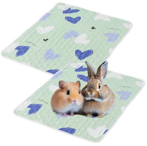 LEPGUYO Set De 2 Cama Pequeño Animal 30x40cm, Alfombra Conejo & Manta Cobaya, Colchón Primavera-Verano Para Hamster Ardilla Chinchilla