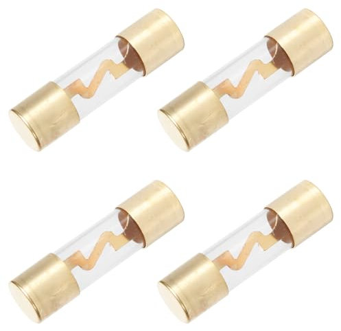 4 Stück Glassicherungen für Audio/Video Anlage für Auto, LKW, Wohnmobil 20A/30A/40A/50A/60A/80A, Ø 10mm x L 3,8cm (60A)
