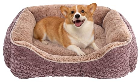 GOBOBE Plüsch-Hundebett, mittel, braun, maschinenwaschbar, Hundesofa mit Kissen, 63 x 53 x 21 cm, Maiskorn-Design, rutschfeste Unterseite, Dicke PP-Baumwollpolsterung