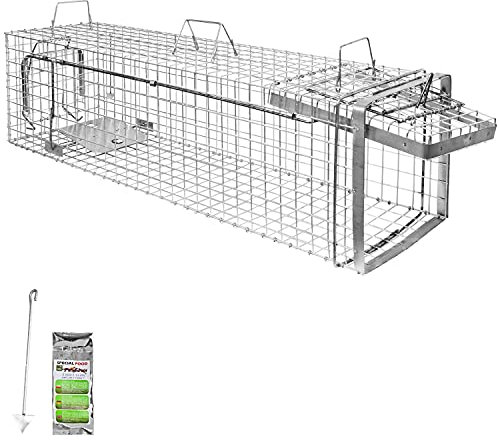 Lebendfalle Marder Rattenfalle Lebend Wiesel Garten Kaninchen Abwehr Umsiedeln Falle Haus Fuchs Waschbär Zubehör Vertreiben Dachboden 120 x 34 x 34 Heavy Petigi