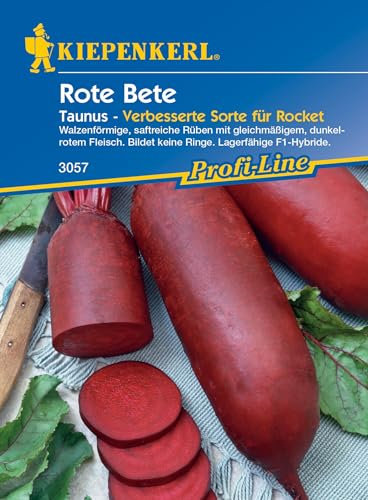 Kiepenkerl Profi-Line Rote Bete Samen Taunus, F1 3057 - Saftreiche Rüben - Inhalt für 15 laufende Meter - Fruchtlänge 15-20 cm - Gemüsesamen, Saatgut