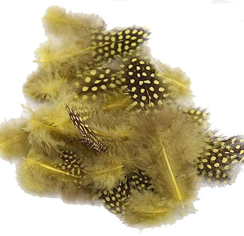 Yurosiay 100 Stück Bunte Federn Basteln Natürliche Perlhuhnfedern Bunt Hühnerfedern Deko Federn DIY Federn zum Basteln Flaumfedern Bastelfedern für Kopfschmuck Traumfänger 4.5-10cm Gelb