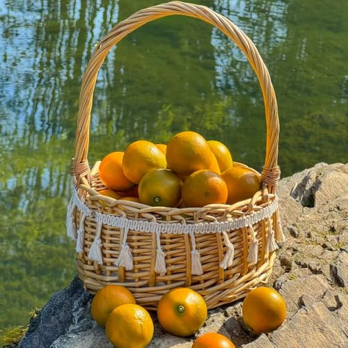 Semillas del árbol Kumquat - fresca jardín de semillas raras resistentes para el jardín de exterior para lugares soleados variedades antiguas 200pcs