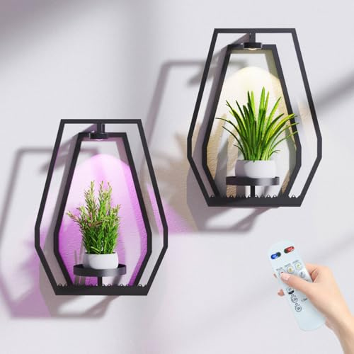 Frame Wall Plant Stand Indoor, Metal Wall Planters Holders with Remote Grow Light, Picture Frame Plant Shelves Wall Decor for Bedroom Bathroom Living Room Home Office (2, Vase Shape)