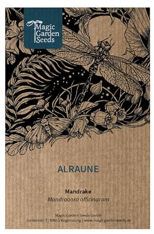 Alraune (Mandragora officinarum) 5 Samen der magischen im Frühling blühenden Zauberpflanze