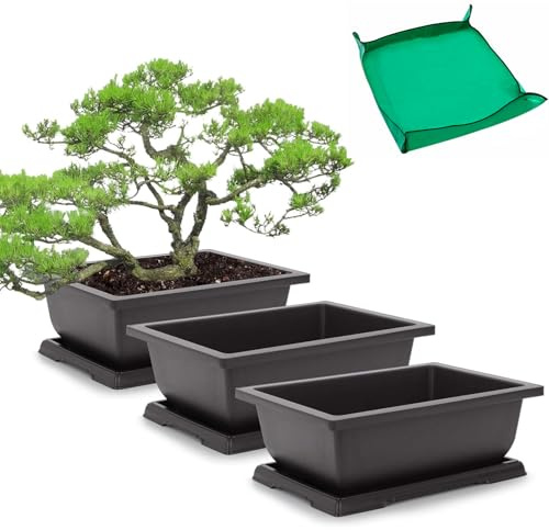 GROWNEER Bonsai-Trainingstöpfe mit Drainage-Feuchtigkeitsschalen, große Bonsai-Töpfe mit 1 Umtopfmatte, Pflanzgefäß für Garten, Hof, Balkon, Büro, Wohnzimmer