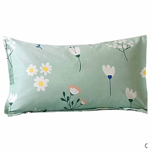 Almohada de alforfón, Almohada del sueño, Almohadas de Textiles estándar, Almohada Individual con Funda de Almohada for Proteger la Almohada de la Columna Cervical, Almohada orgánica