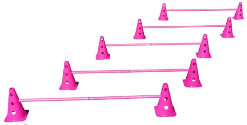 Steckhürdenset Pink - 5 er Set für Koordinationstraining Agility Hundesport Pferdesport Zubehör Lochkegel Fussball Pylone Stangen Lochkegel für Trainingsübungen Trainingszubehör