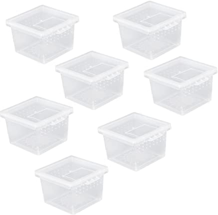 DOITOOL Praktische Reptilienzuchtbox 10 Stück Bruchsicheres Kunststoff Kleiner Creeper Haus Mit Klappdeckel Sicher Für Spinnenaufzucht Und Fütterung Kompakt Für Reptilienbedarf Und Insekten Pflege