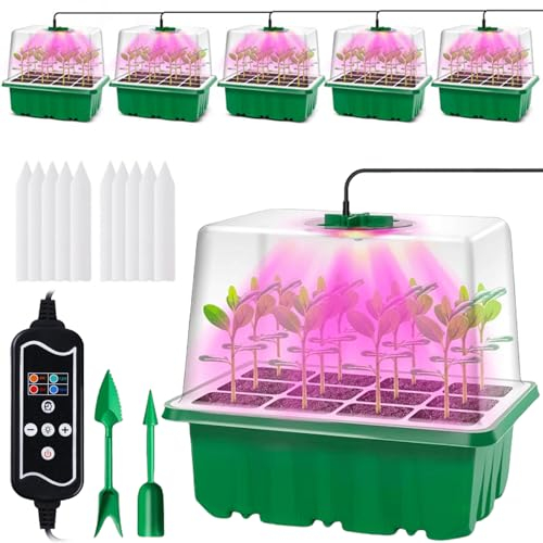 Set di 5 mini serra per la coltivazione di piante con coperchio rialzato e luci per piante, set di coltivazione mini serra, mini serra per piantine