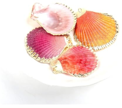 Coquilles de mer Coquilles de mer Mixtes, Coquillages for l'artisanat Plaqué Or Blanc Rouge Secteur Coquillage for Bijoux Bricolage Fait Main Décoration Maison Artisanat 5 pièces