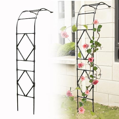 Metall-Pergola-Gartendekoration, Halbbogen, Gartenbogen, Rankgitter für Kletterpflanzen, weiß/schwarz, 240 x 240 cm, ideal für Rosen und Reben, stabiles und stilvolles Design