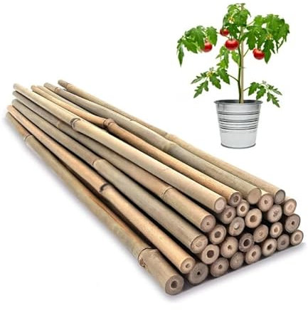 Eyesome Strong Heavy Duty Professional Bamboo Canes for Plant Support - Multiple Lengths 2ft - 3ft Garden Stakes, Durable Large Garden Canes Sturdy & Natural Bamboo Sticks (10 x 3ft / 90cm)
