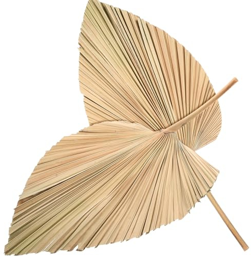 BESPORTBLE de de Palma Secas para Natural en Forma de 2 Piezas para de Jarrones y Oficinas , Adecuado para de Bodas y
