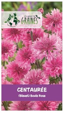 500 graines de fleurs centaurée cyanus boule rose — bleuet rose double annuel champêtre pour massifs, fleurs coupées et jardins