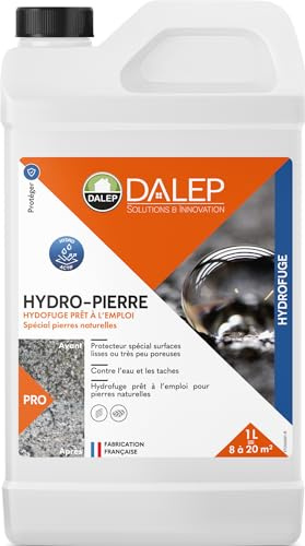 DALEP Wasserabweisender Steinimprägnierer, 1 l Kanister, Silikon, Hydrofuges, Wasserabweisend, 1 l = 8 bis 20 m²