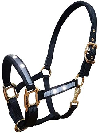 Reinecke Equestrian Premium Leuchthalfter Reflexhalfter Sicherheitshalfter Stallhalfter Weidehalfter LED-Nylonhalfter Starlight (Full, schwarz/Gold)