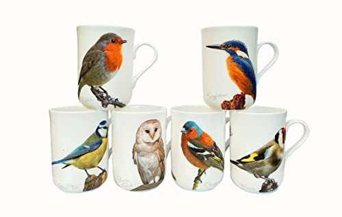 heritage Set of 6 British Bird Mugs