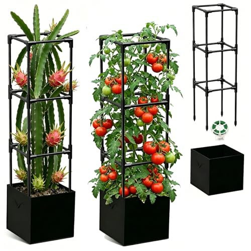 Treillis à Fruits du Dragon pour concombres et Fruits coupés (1 pièce)