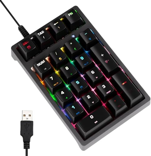 Tastierino Numerico,Multifunzionale con 17 Tasti,Tastierino Numerico Per Computer A Inserimento - Per Analisti Finanziari Graphic Designer Programmatori Contabili Laptop PC Desktop Accountants