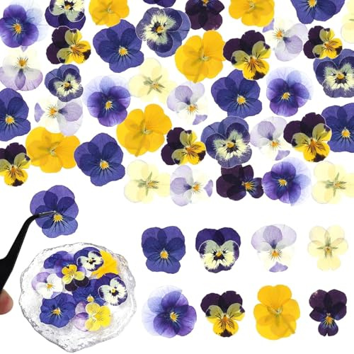 48Pcs 8 Kinds Dried Pressed Pansies Flowers for Crafts, Real Natural Pressed Dried Flowers for Cake Decorating, Purple Bulk Dry Flower for Resin, DIY Art, Jewelry, Candle & Soap Making.