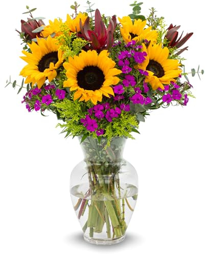 Stargazer Barn – Wildflower Bouquet with Vase – Mother’s Day Flowers for Mom – Fresh Flower Delivery, Farm Fresh, Hand-Tied in USA, Ready to Gift