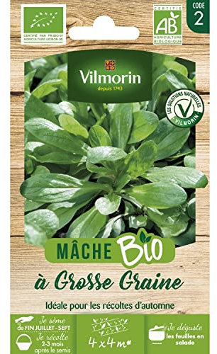 Mâche à Grosse Graine - BIO
