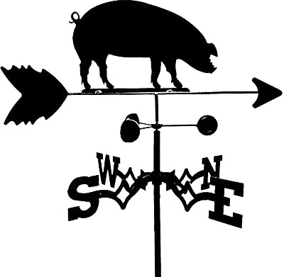 Girouette Cochon de Sanglier Indicateur de Direction du Vent Outils de Mesure avec Revêtement Antirouille Noir Satiné pour Jardin Patio Cour Décoration