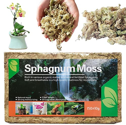 Långfiber sphagnummossa, Sphagnum Moss Potting Mix, Krukblandning för köttätande växter, mossa, naturligt lufttorkad Jyfanse