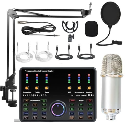 Condensatore di Registrazione del Computer Microfono Microfono Scheda Audio Trasmissione in Diretta Scheda Audio per Telefono Cellulare Set Completo dedicato dal Vivo,E