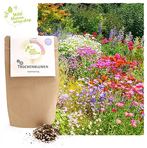 Trockenblumen Samen-Mix für viele Blumen zum trocken. 20gr Saatgut für eigene Trockenblumen, viele Sorten enthalten