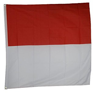 Flaggenfritze Fahne/Flagge Schweiz Kanton Solothurn + gratis Sticker