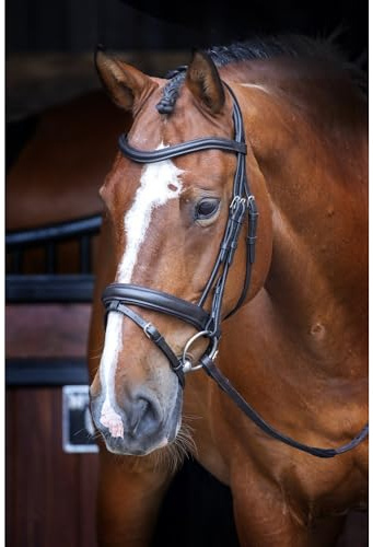 Shires Velociti Dressage Bridle with Flash - Black Full