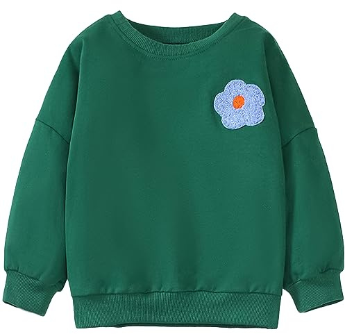 MUJOQE Mädchen Pullover für Kinder Langarmshirt Baumwolle Sweatshirt Winter Kleidung Langarm Tops 1-7 Jahre