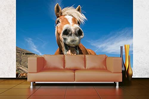 Vlies Fototapete LUSTIGES PFERD 375 x 250 cm (inkl. Kleister) - Vlies Tapete, Wandtapete, Wandbilder - Tapete für Wohnzimmer Schlafzimmer, Büro, Küche - Montagefertig