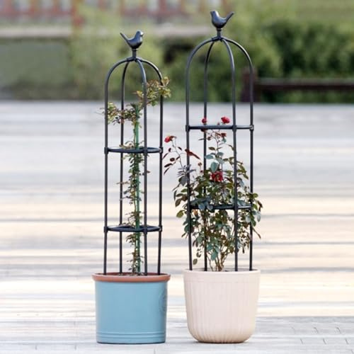 Obelisco da giardino, traliccio di supporto per piante rampicanti, in metallo e plastica, 1 pezzo, supporto per rose, per interni ed esterni (nero, P 40 x A 205 cm)