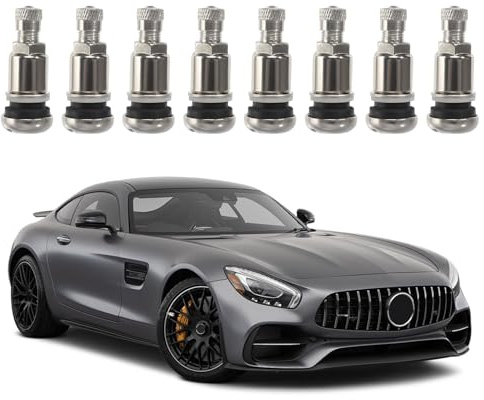 Silber Metallventile, 8 Stück Felgenventil Metall Stahlventile, Felgenventil AutoAutoreifen Ventil 11,3mm Luftventil Auto Stahlventile Felgenventile Reifenventil Auto mit Kunststoffkoffer