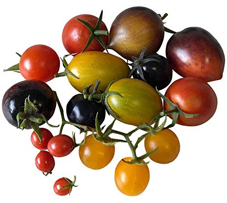 Tomaten Samen Set - 6 Sorten zu je 10 Samen- Top Tomaten Sorten