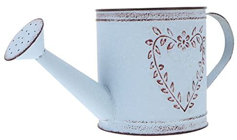 TOYANDONA Vase Fer Vintage Style Européen Décoration Intérieure Extérieure Arrosoir Ornemental pour Plantes sur Balcon Et Jardin Pot Rustique à Fleurs Décoratif