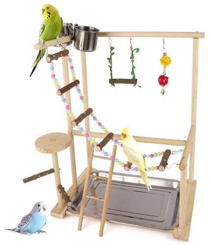 Dmnnlp Bird Playground, Natural Wood Bird Play Stand with Removable Tray, Feeder Cups, Ladder, Swing & Chew Toys for Cockatiel, Conure, Parakeet