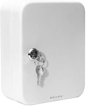 BRASQ Schlüsselkasten KC100 aus Metall, Abschließbar, Grauer Schlüsselschrank mit 20 Haken, Schlüsselbox mit Zylinderschloss, Größe 16 x 20 x 7,5 cm (L x B x H)