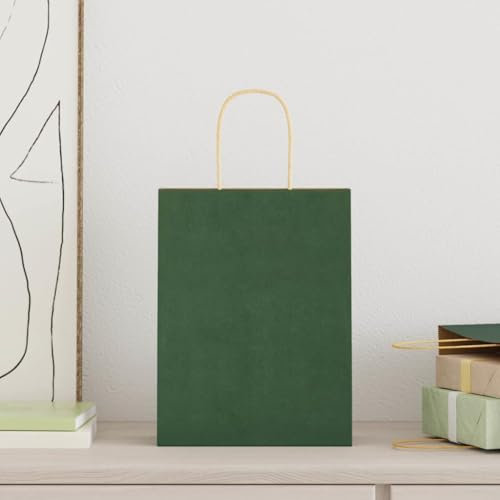 vidaXL Kraftpapiertüten 250 Stk. mit Henkel Grün 22x11x28 cm, Papiertüte, Geschenktüte, Papiertüte mit Henkel, Kraftbeutel, Geschenktüte Kraftpapier